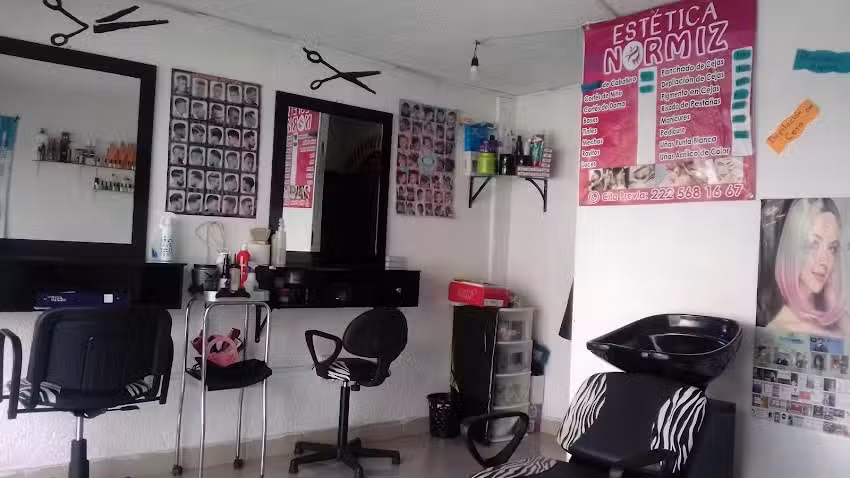 Est&eacute;tica Normiz