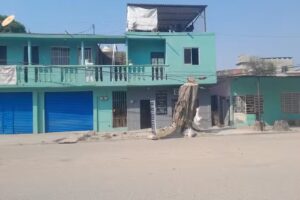 Estetica pedro cordoba