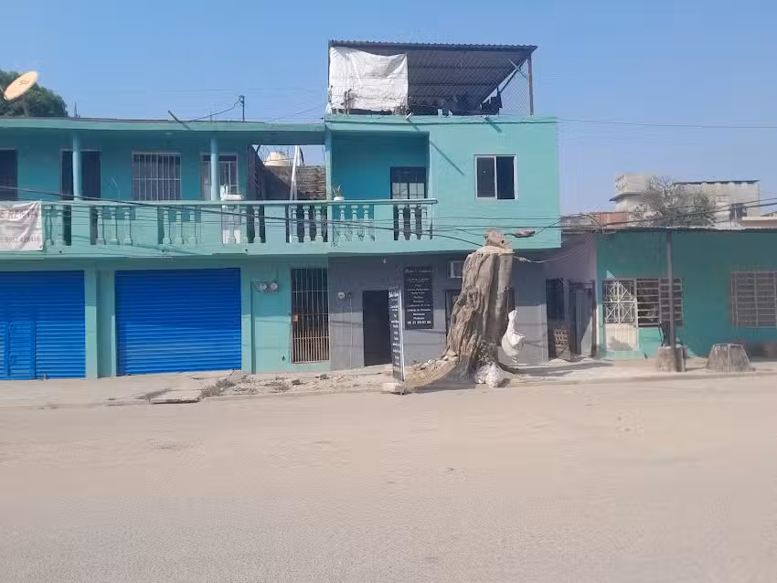 Estetica pedro cordoba