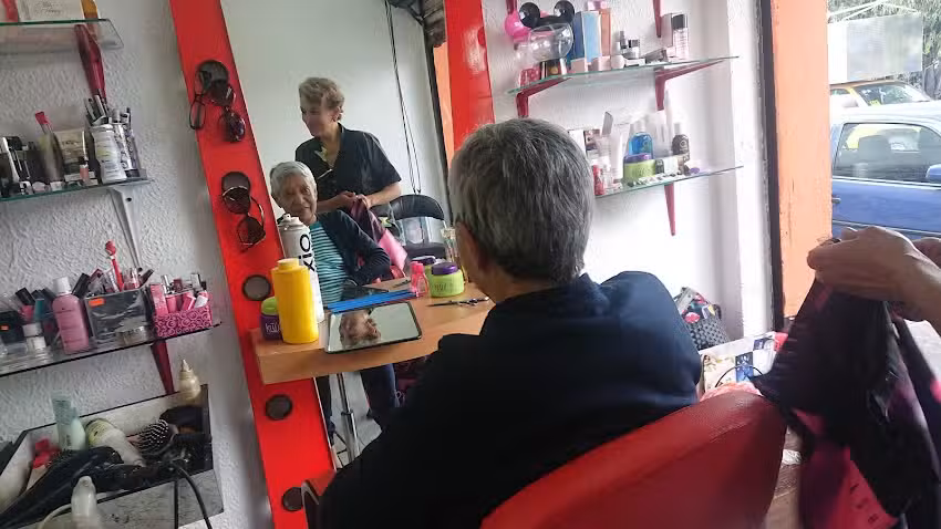 Est&eacute;tica Perlei