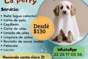 Est&eacute;tica perry