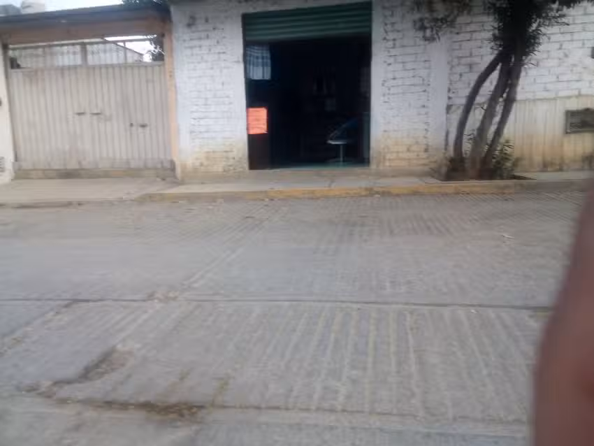 Est&eacute;tica tulipanes