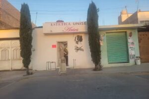 Estética Unisex Aries