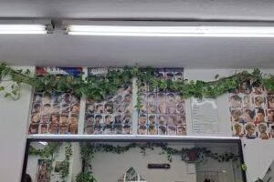 ESTETICA UNISEX Candy&rsquo;s