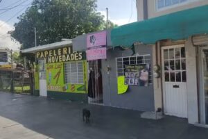 ESTETICA UNISEX “D’ MARY”