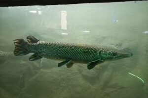 Est&eacute;tica Unisex Eva Maria