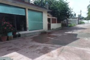 Est&eacute;tica Unisex Rita