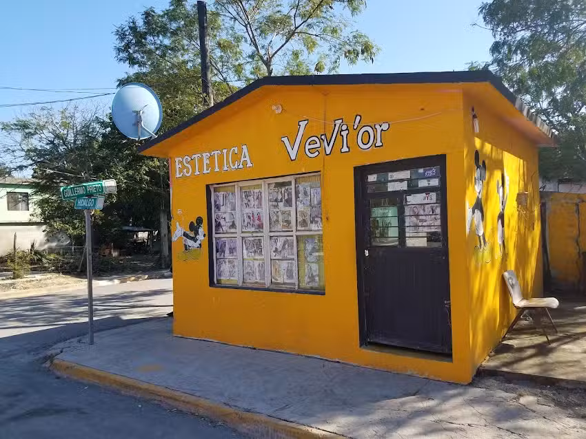 Estetica &ldquo;VeVi&rsquo;Or&rdquo;