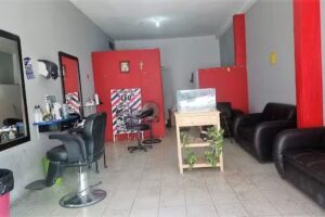 Est&eacute;tica y peluquer&iacute;a Leo