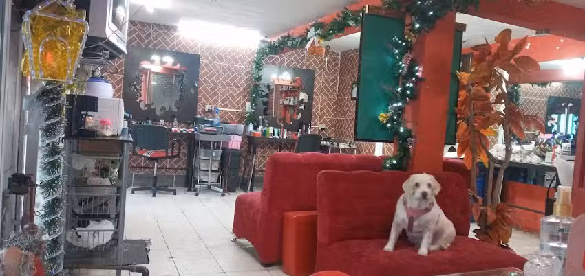 Estetica y peluquer&iacute;a LUXOR