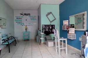 Est&eacute;tica y Peluquer&iacute;a Pelos