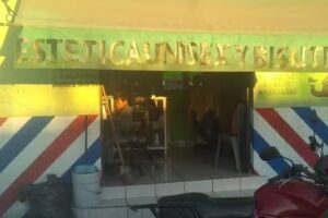 Est&eacute;tica yolis