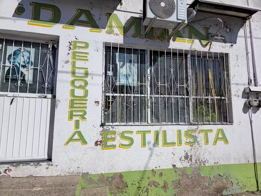Estilista Dami&aacute;n