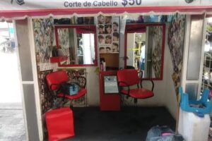 Estilistas profecionales de mexico 1