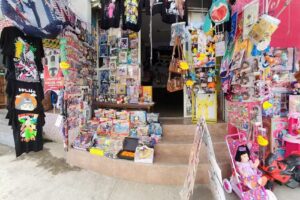 Ezequiel Castillo Hair Designer