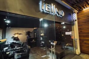 Felino Barber&iacute;a Metepec