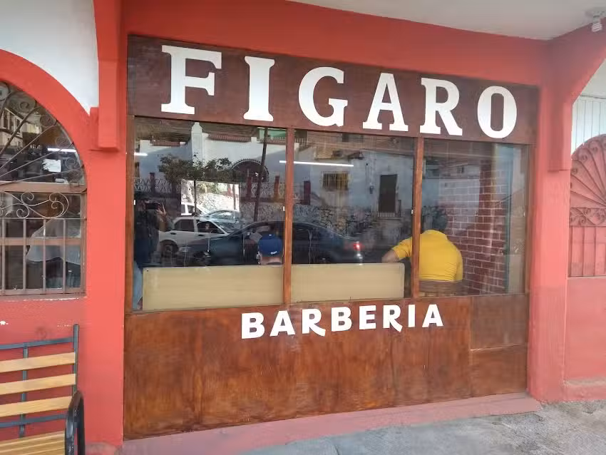 F&Iacute;GARO