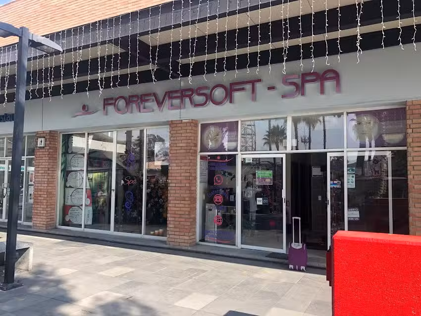 FOREVERSOFT Ixtapaluca