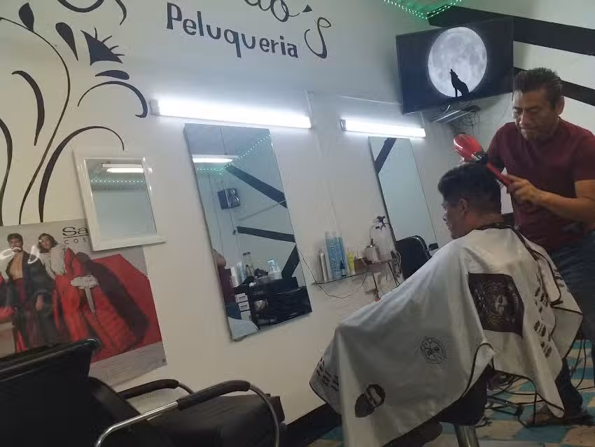 Galindo&rsquo;S Peluquer&iacute;a