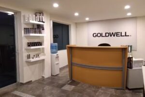 Goldwell Mexico