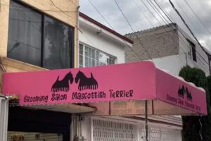 Grooming Salon Mascottish Terrier