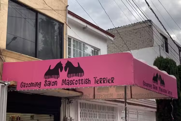 Grooming Salon Mascottish Terrier