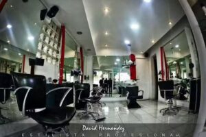 H Mitchell Stylistes