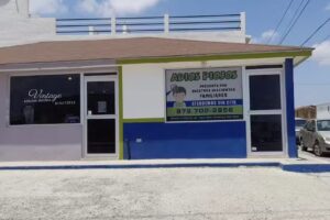 Happy heads adios piojitos