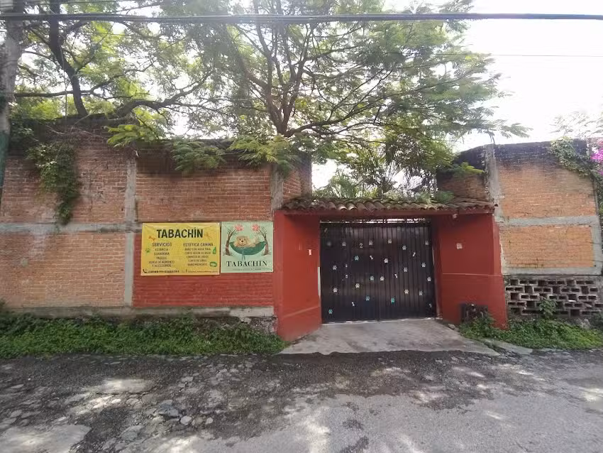 Hotel y Est&eacute;tica Canina &ldquo;Tabachin&rdquo;