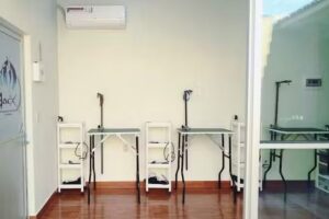 Jesus Cuevas Professional Dog Groomer