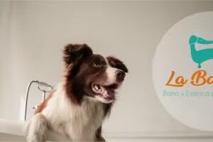 La Bañera Estética