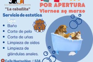 La Caba&ntilde;ita spa y prevenci&oacute;n animal