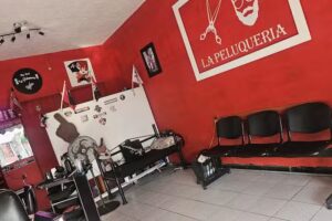 La Peluquer&iacute;a