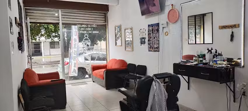 LA PELUQUERIA