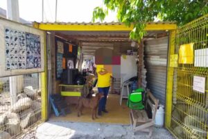 La Peluquer&iacute;a Amarilla