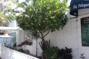 Lucy Alta Peluquer&iacute;a