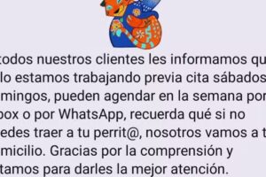 Luxus est&eacute;tica y peluquer&iacute;a canina