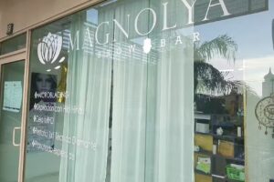 Magnolya Brow Bar