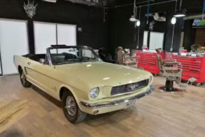 Mediodiablo -Barberia-