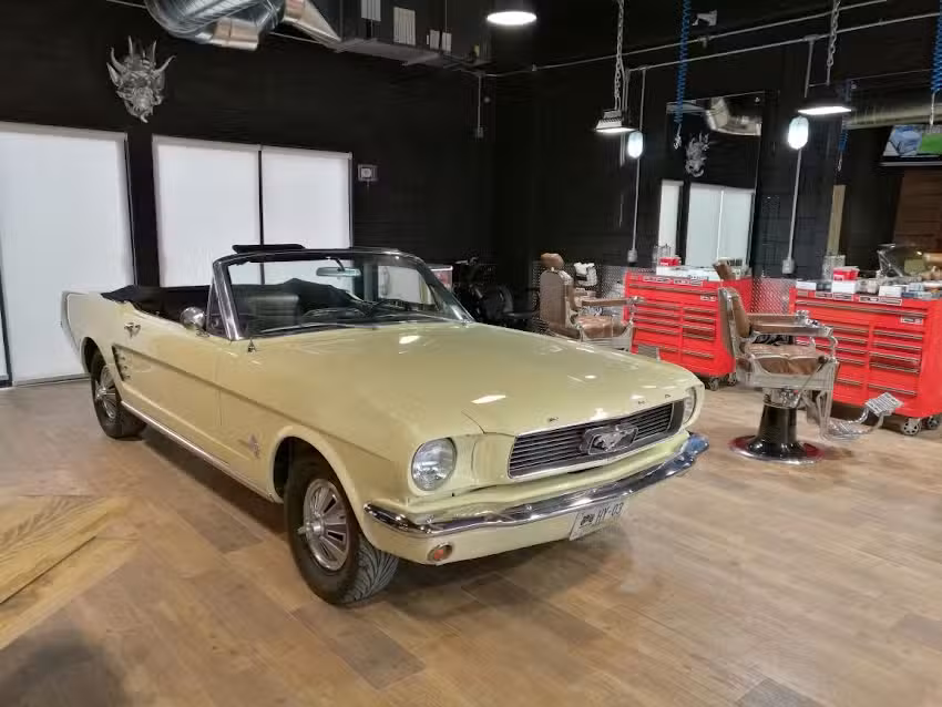 Mediodiablo -Barberia-