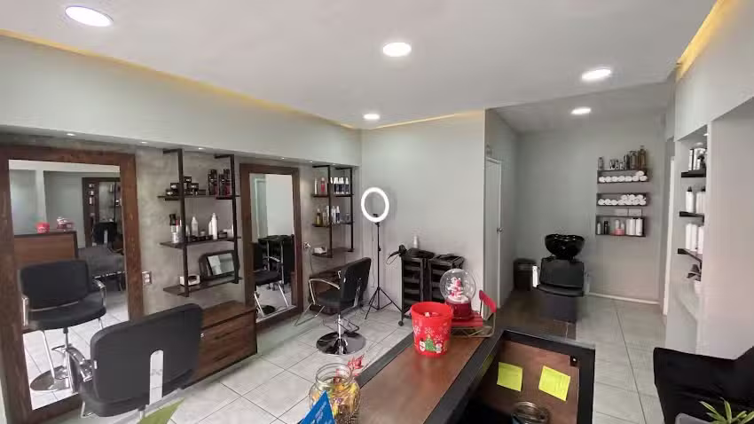 MEDUSSA MARCO ANGEL STUDIO