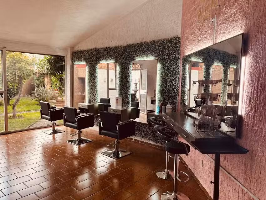 Meraki Style Experts