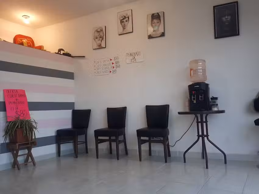 MS Est&eacute;tica y Peluquer&iacute;a