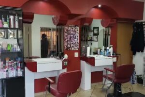 Nelys Salon