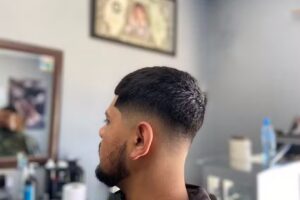 Neto Cuts