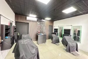 Pabel&rsquo;s estetica fresnos