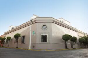 Patrice School Education by Pivot Point