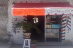 Peliqueeia y esstetica Angelica