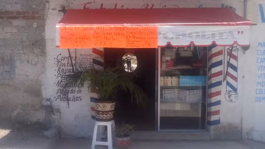 Peliqueeia y esstetica Angelica