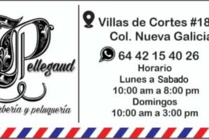 Pellegaud-peluquer&iacute;a Y Barberia